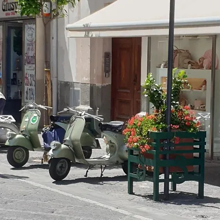 Maison D'art Guest house